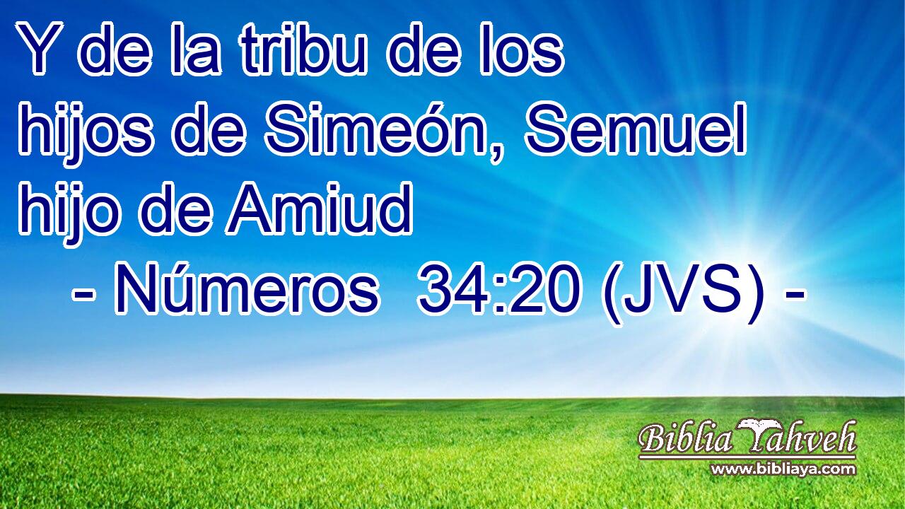 Y de la tribu de los hijos de Simeón, Semuel hijo de Amiud