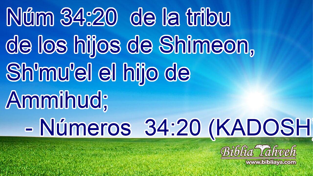  de la tribu de los hijos de Shimeon, Sh'mu'el el hijo de Ammihud; 