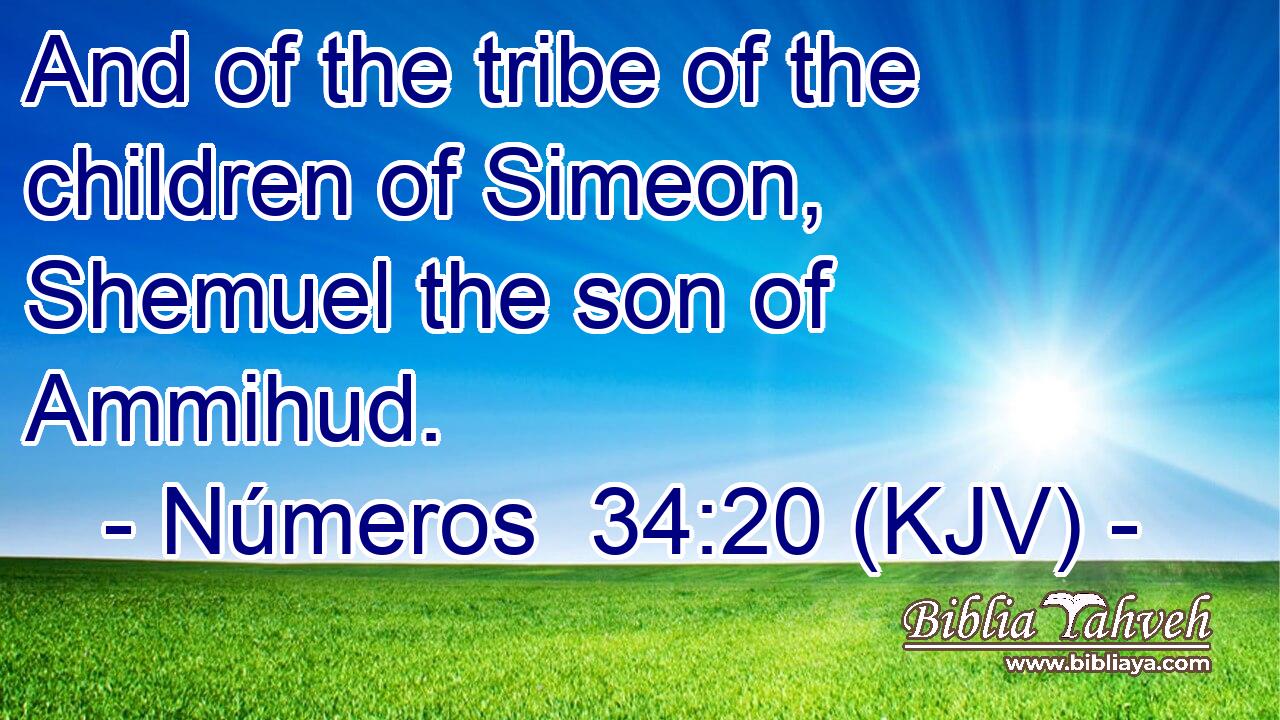 And of the tribe of the children of Simeon, Shemuel the son of Ammihud.