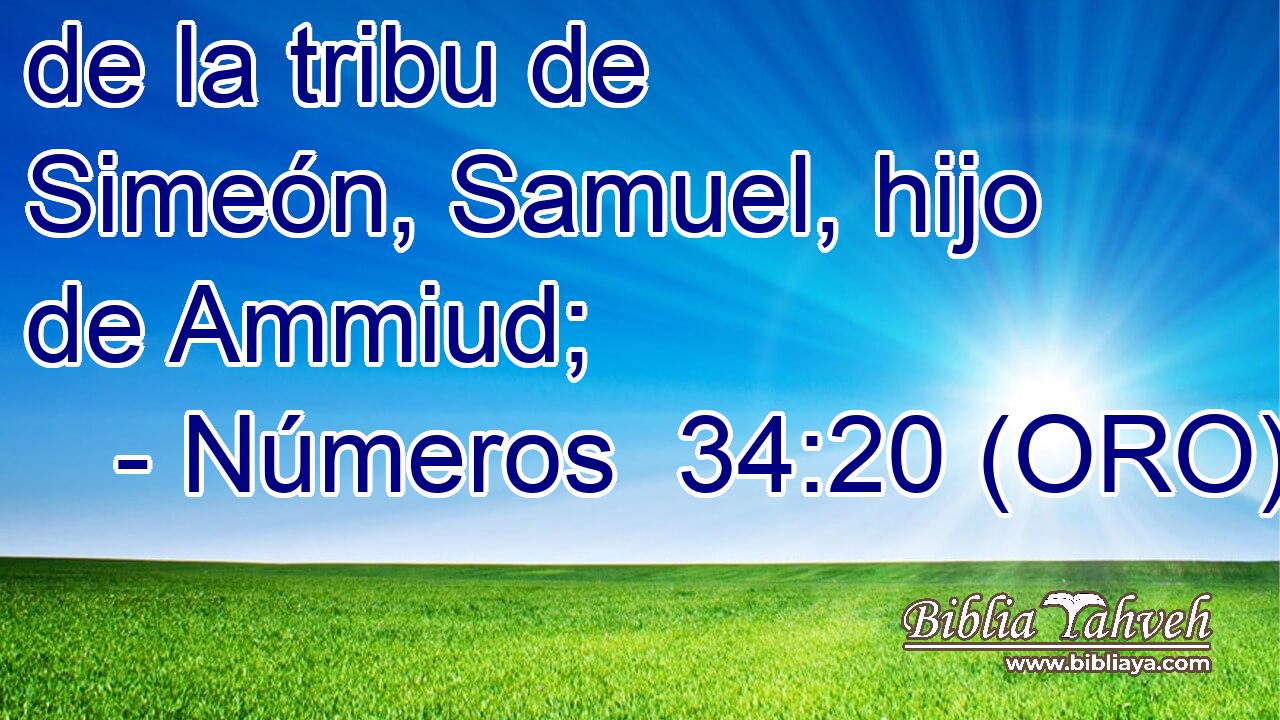  de la tribu de Simeón, Samuel, hijo de Ammiud; 