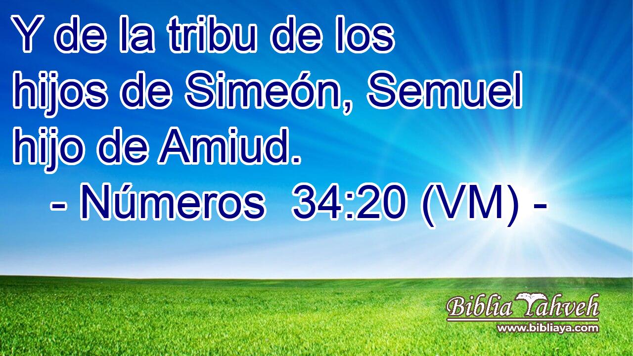  Y de la tribu de los hijos de Simeón, Semuel hijo de Amiud. 
