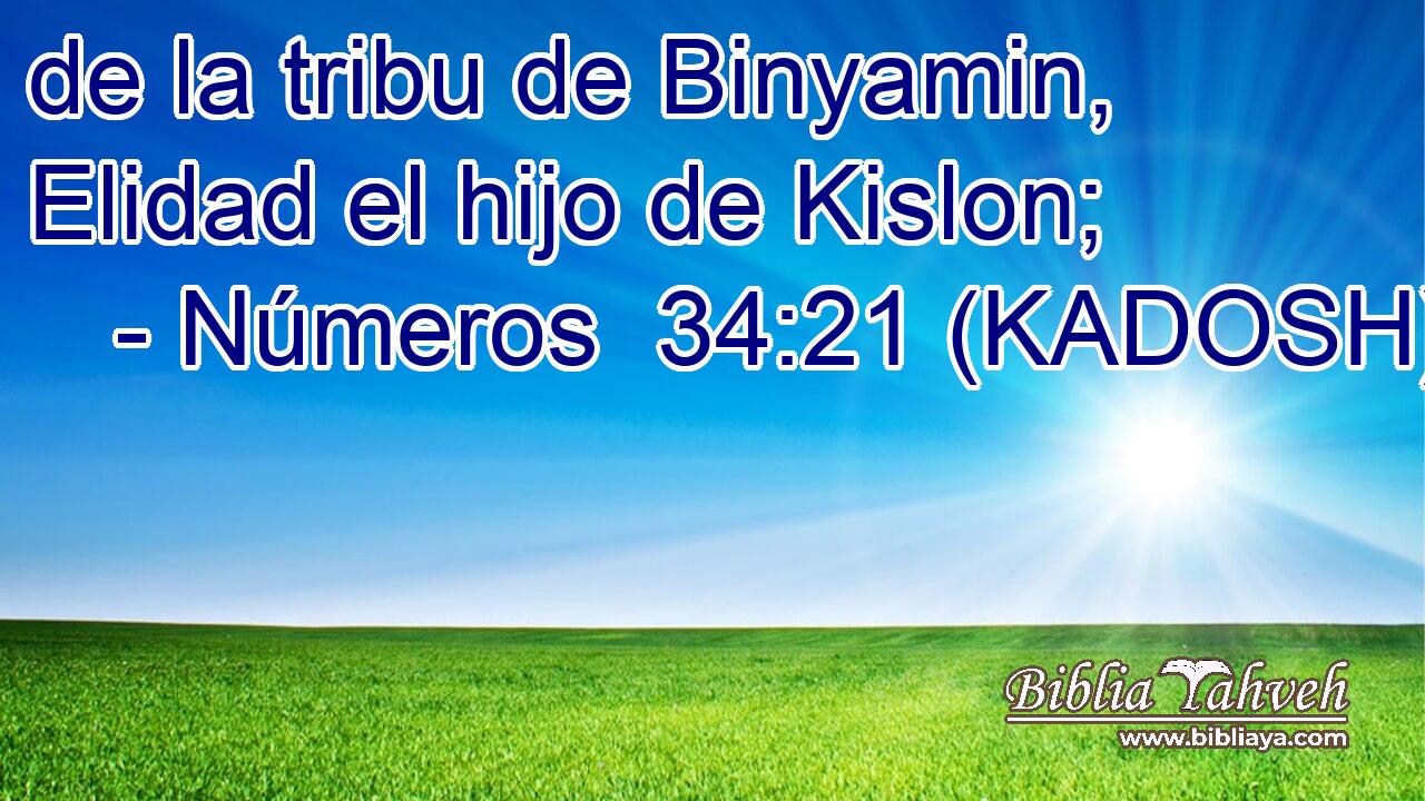  de la tribu de Binyamin, Elidad el hijo de Kislon; 