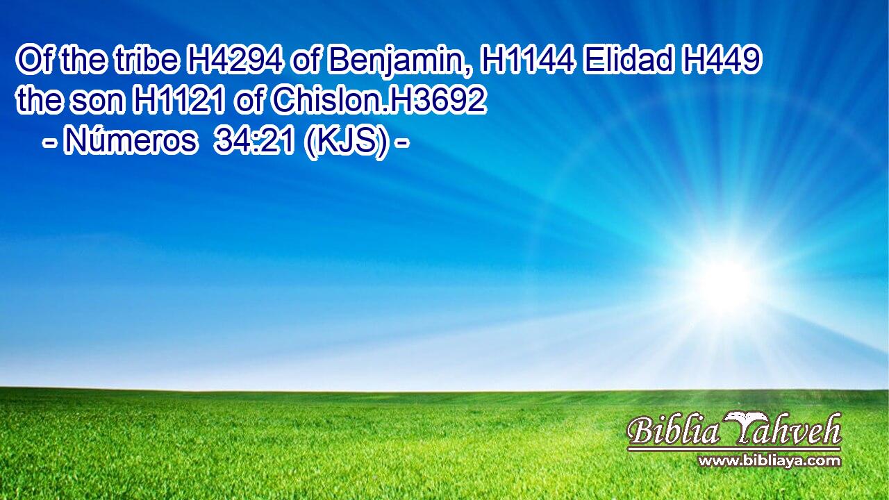 Of the tribe H4294 of Benjamin, H1144 Elidad H449 the son H1121 of Chislon.H3692