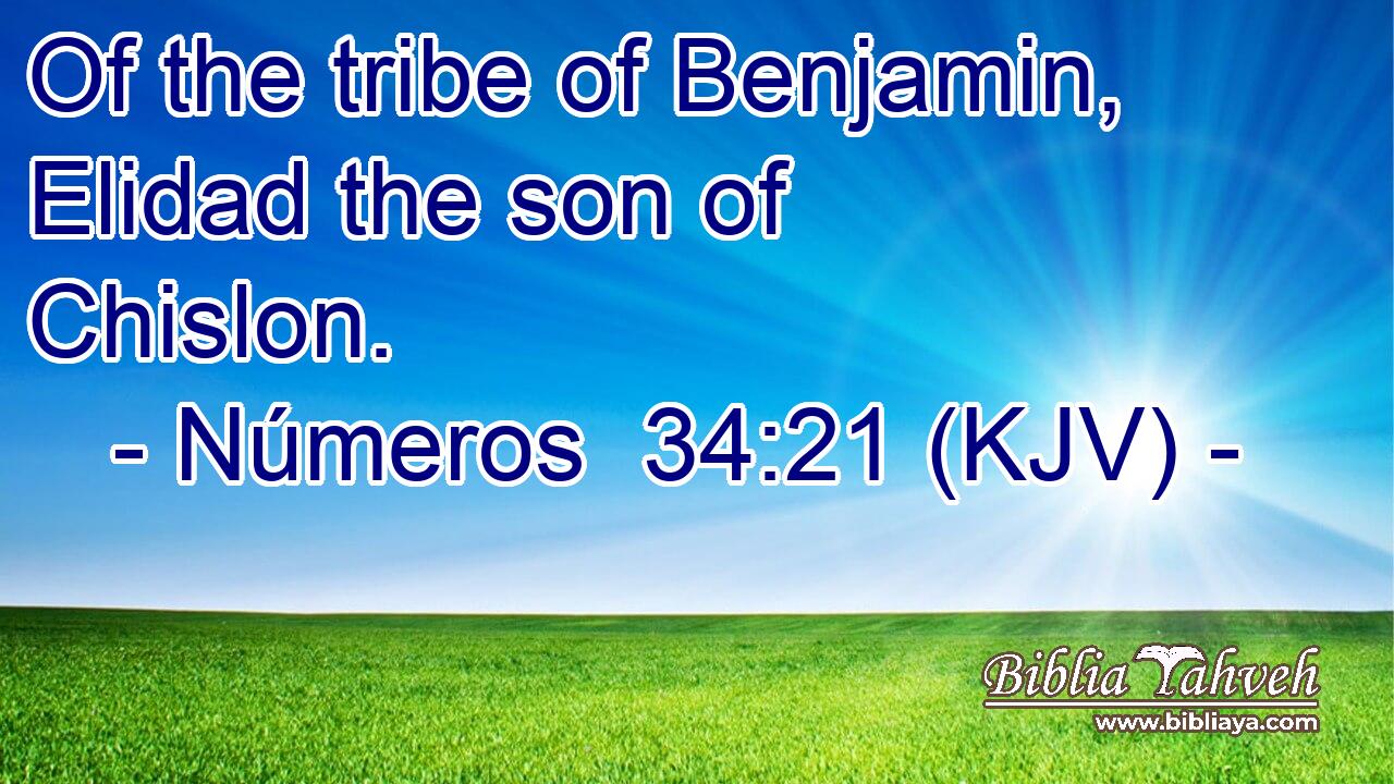 Of the tribe of Benjamin, Elidad the son of Chislon.