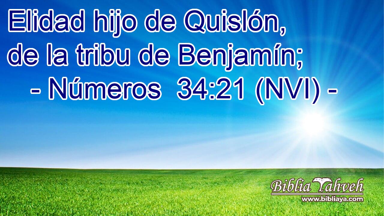  Elidad hijo de Quislón, de la tribu de Benjamín; 