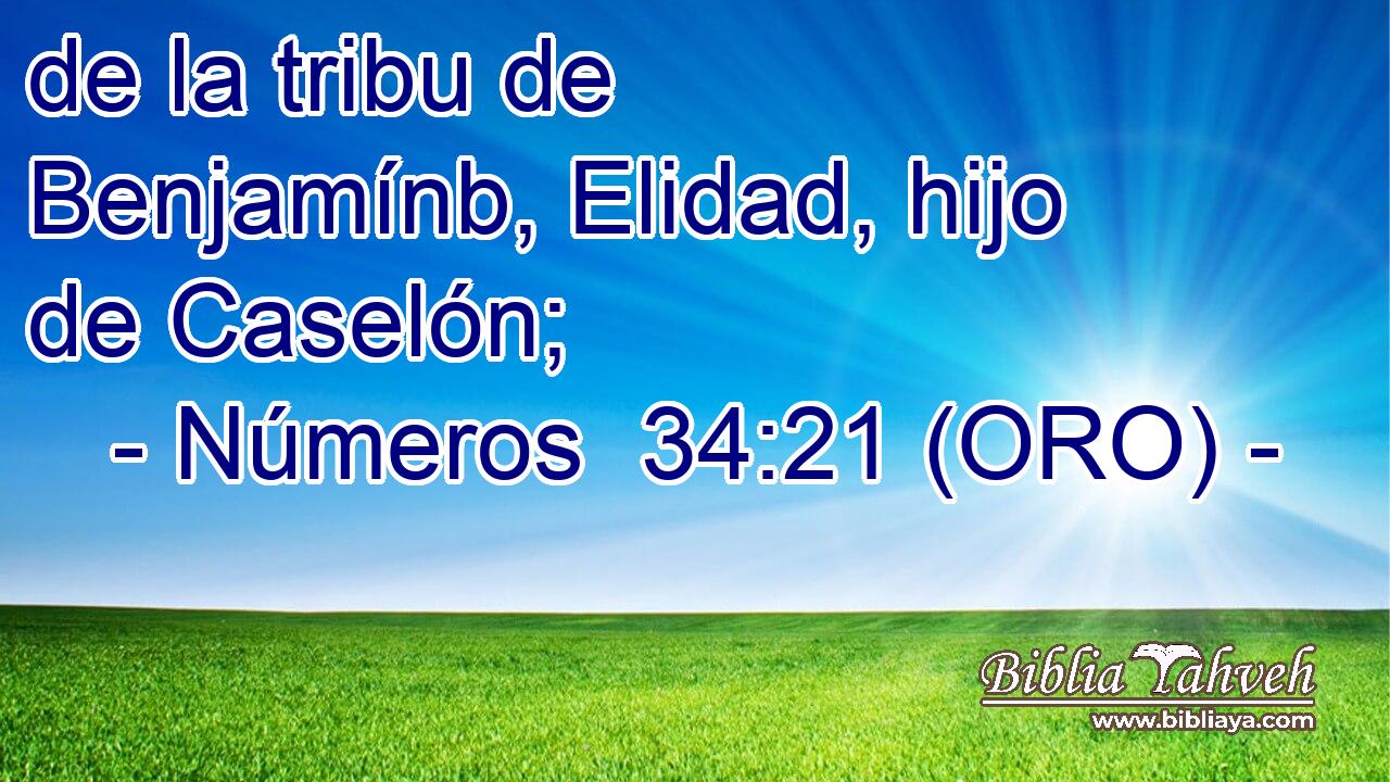  de la tribu de Benjamínb, Elidad, hijo de Caselón; 