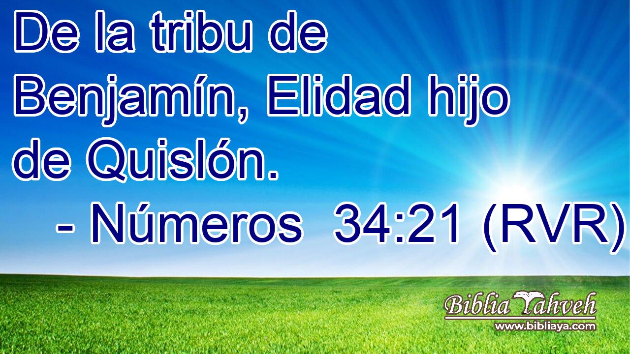 De la tribu de Benjamín, Elidad hijo de Quislón.