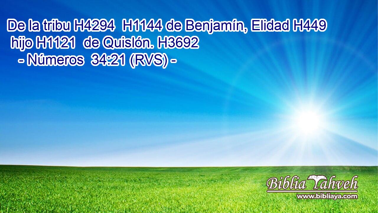 De la tribu H4294  H1144 de Benjamín, Elidad H449  hijo H1121  de Quislón. H3692  