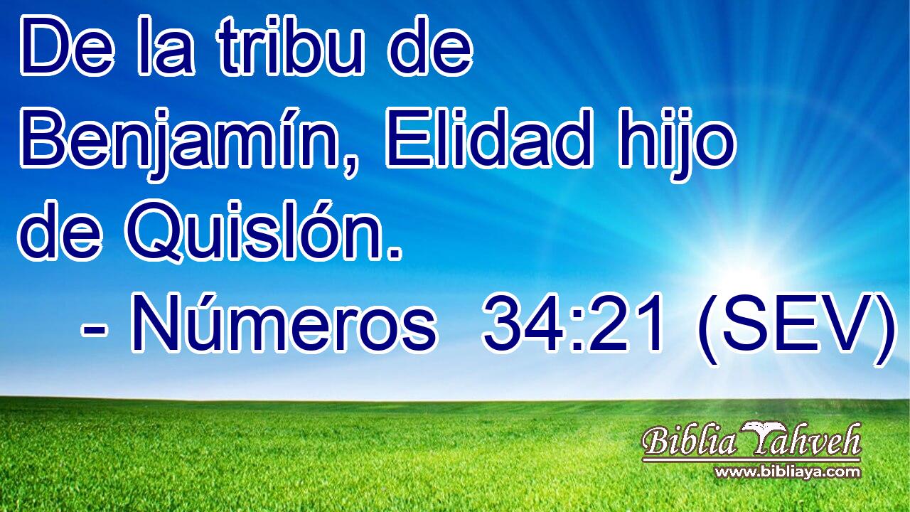 De la tribu de Benjamín, Elidad hijo de Quislón.
