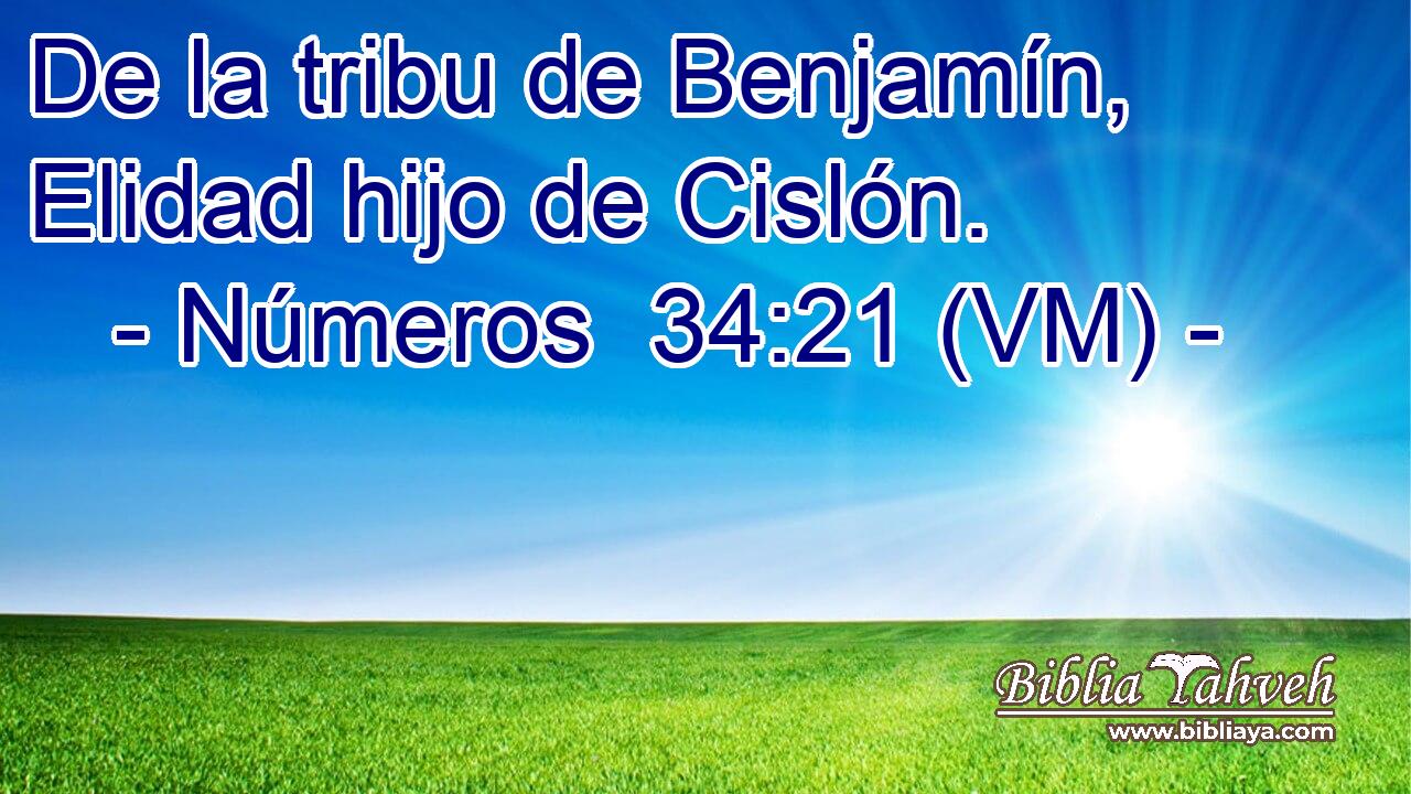  De la tribu de Benjamín, Elidad hijo de Cislón. 