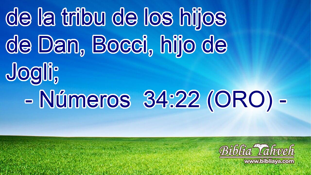  de la tribu de los hijos de Dan, Bocci, hijo de Jogli; 