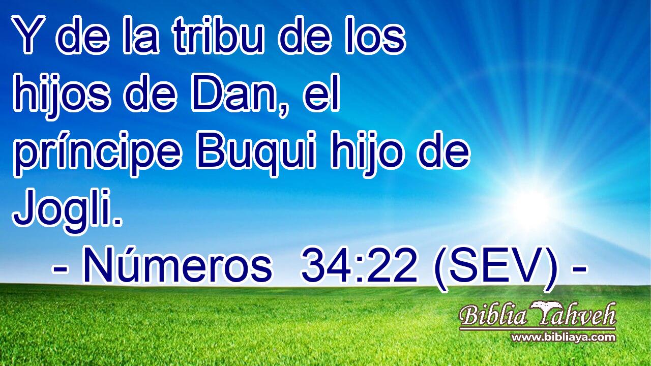 Y de la tribu de los hijos de Dan, el príncipe Buqui hijo de Jogli.