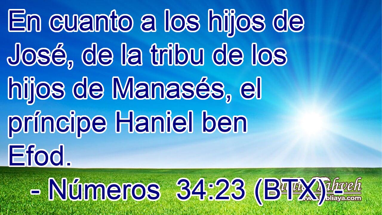 En cuanto a los hijos de José, de la tribu de los hijos de Manasés, el príncipe Haniel ben Efod.