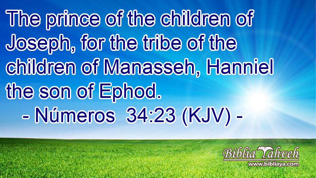 The prince of the children of Joseph, for the tribe of the children of Manasseh, Hanniel the son of Ephod.