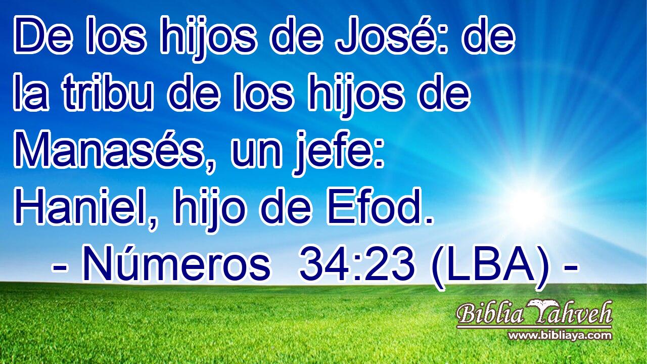 De los hijos de José: de la tribu de los hijos de Manasés, un jefe: Haniel, hijo de Efod.