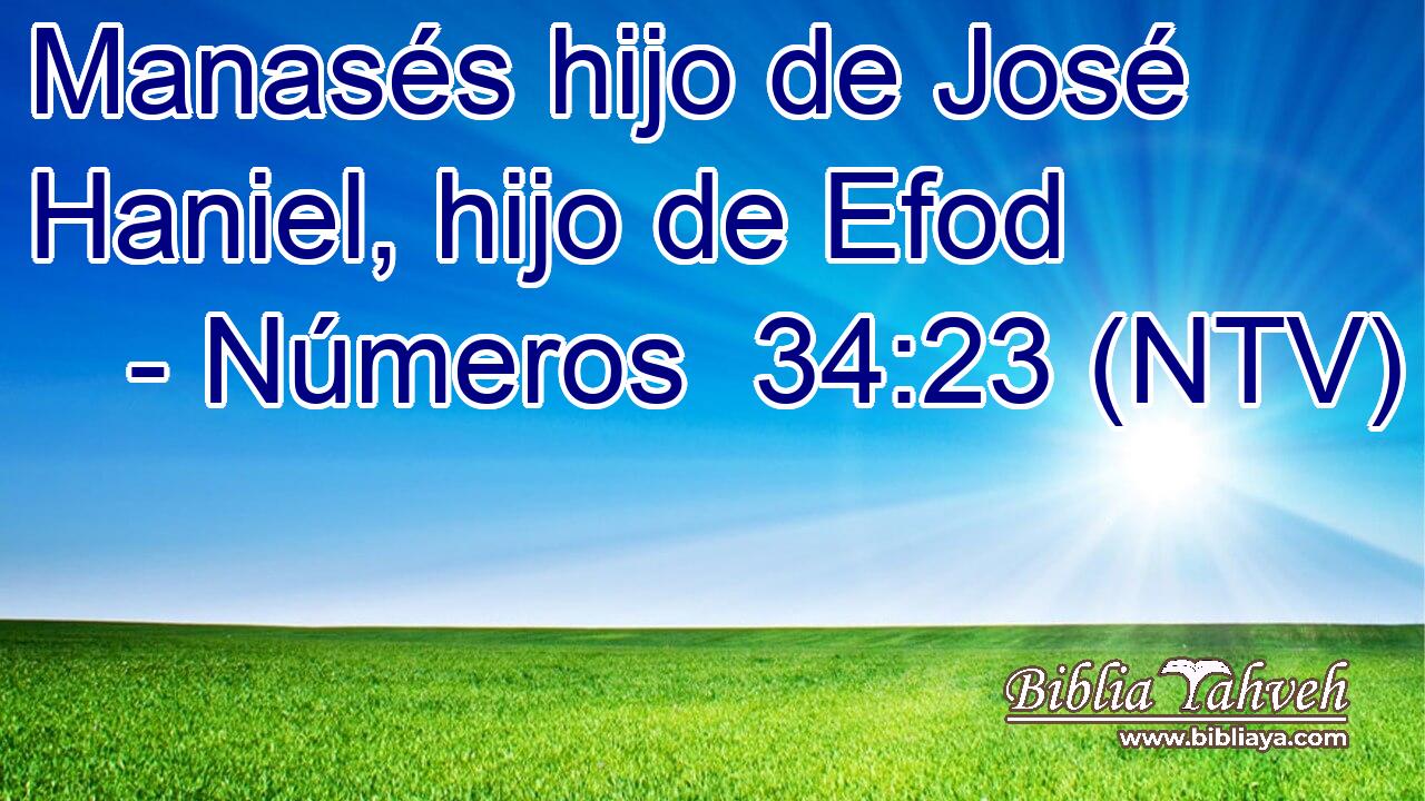 Manasés hijo de José Haniel, hijo de Efod