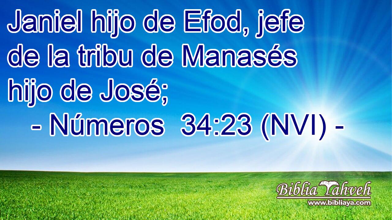  Janiel hijo de Efod, jefe de la tribu de Manasés hijo de José; 