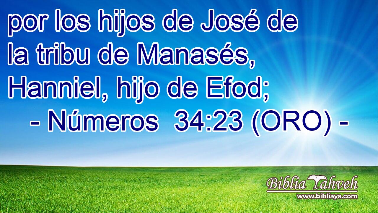  por los hijos de José de la tribu de Manasés, Hanniel, hijo de Efod; 