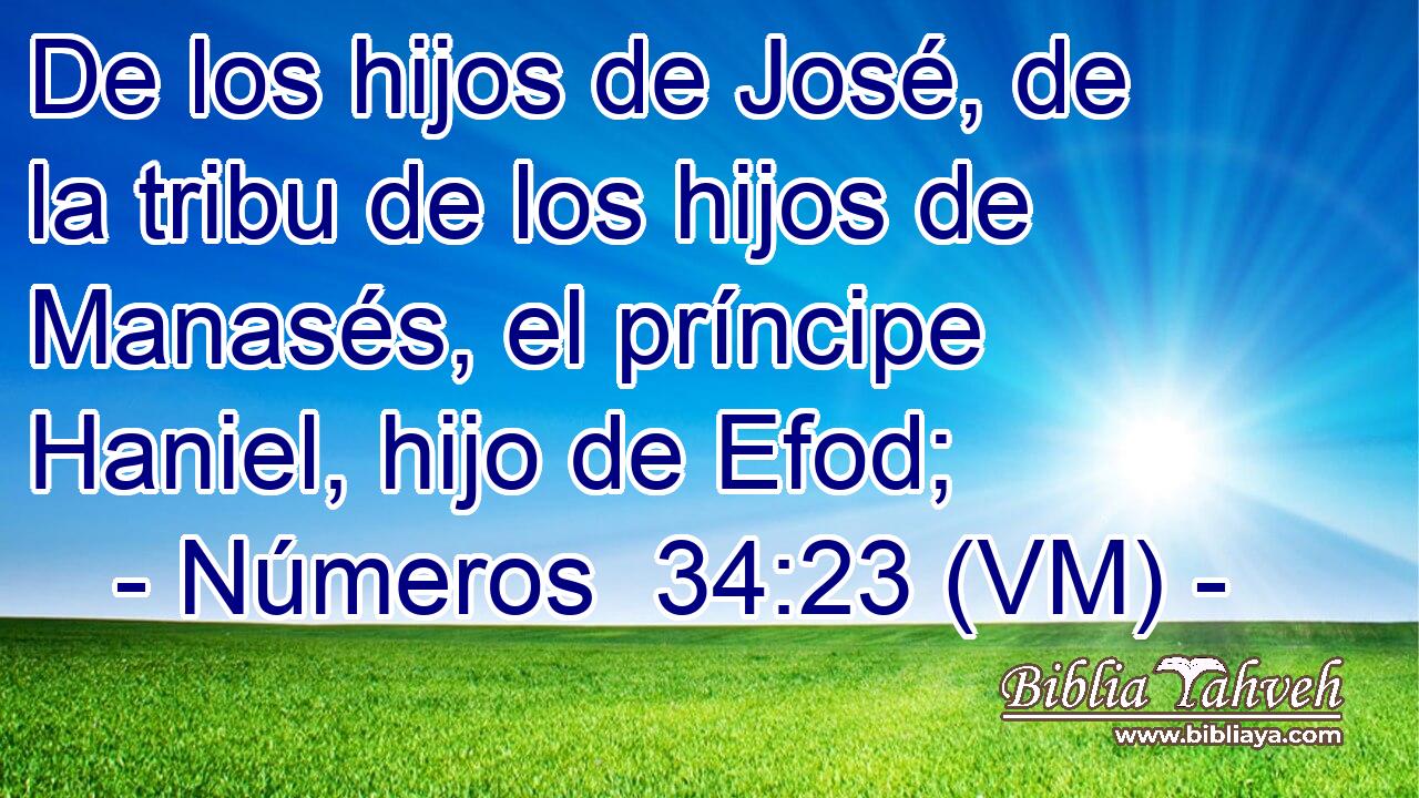  De los hijos de José, de la tribu de los hijos de Manasés, el príncipe Haniel, hijo de Efod; 