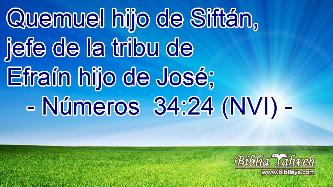  Quemuel hijo de Siftán, jefe de la tribu de Efraín hijo de José; 