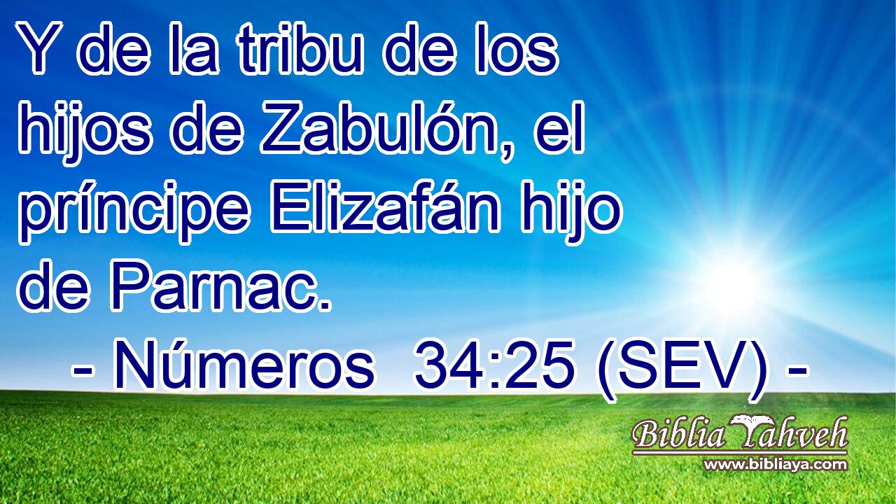 Y de la tribu de los hijos de Zabulón, el príncipe Elizafán hijo de Parnac.