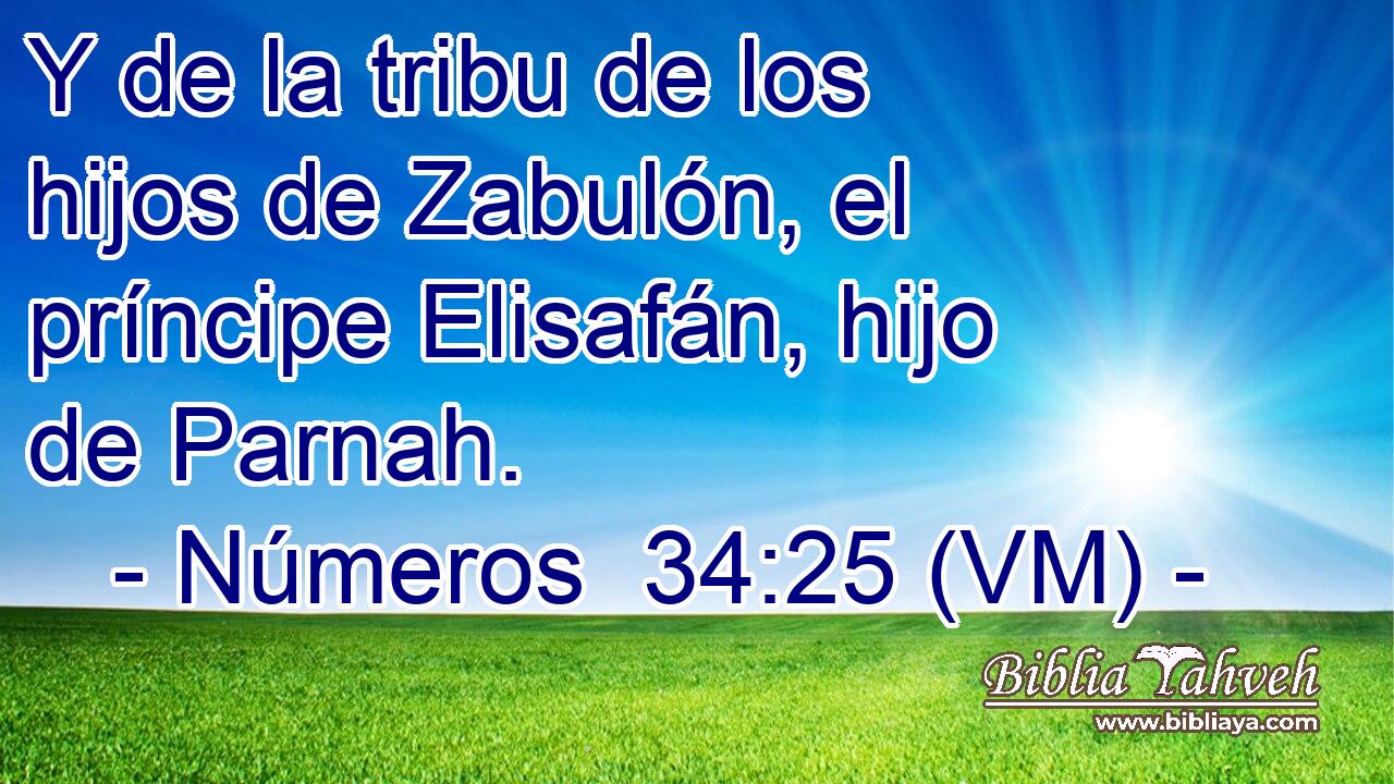  Y de la tribu de los hijos de Zabulón, el príncipe Elisafán, hijo de Parnah. 
