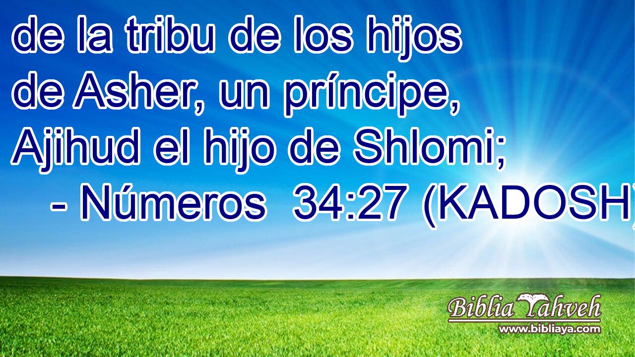  de la tribu de los hijos de Asher, un príncipe, Ajihud el hijo de Shlomi; 