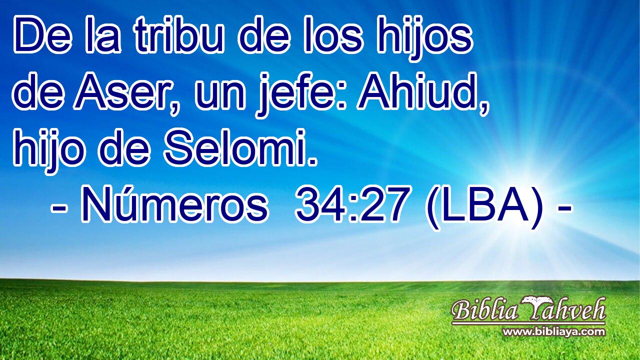De la tribu de los hijos de Aser, un jefe: Ahiud, hijo de Selomi.