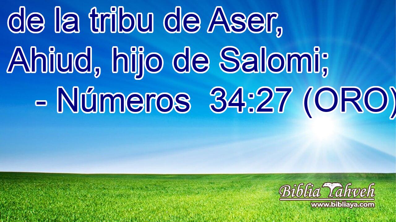  de la tribu de Aser, Ahiud, hijo de Salomi; 