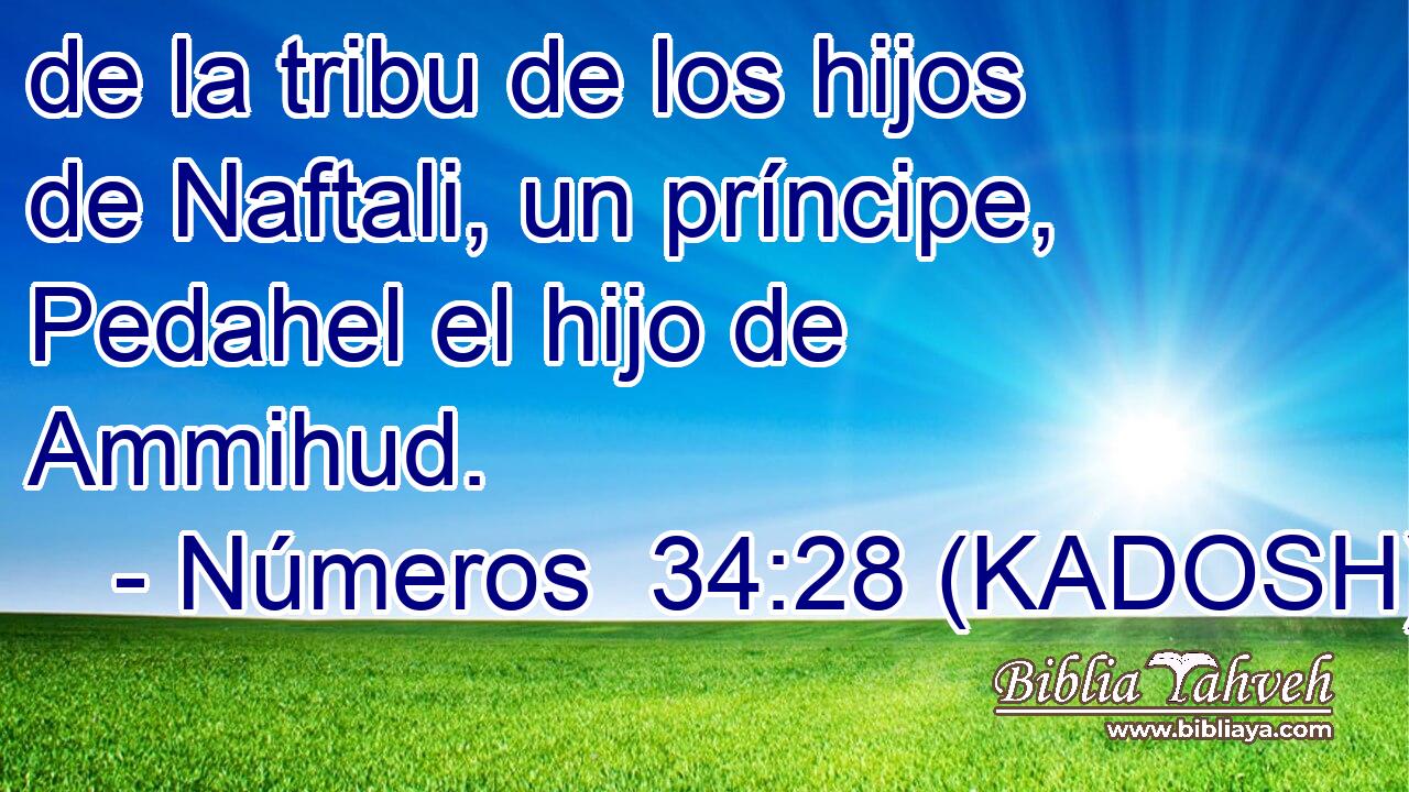 de la tribu de los hijos de Naftali, un príncipe, Pedahel el hijo de Ammihud. 