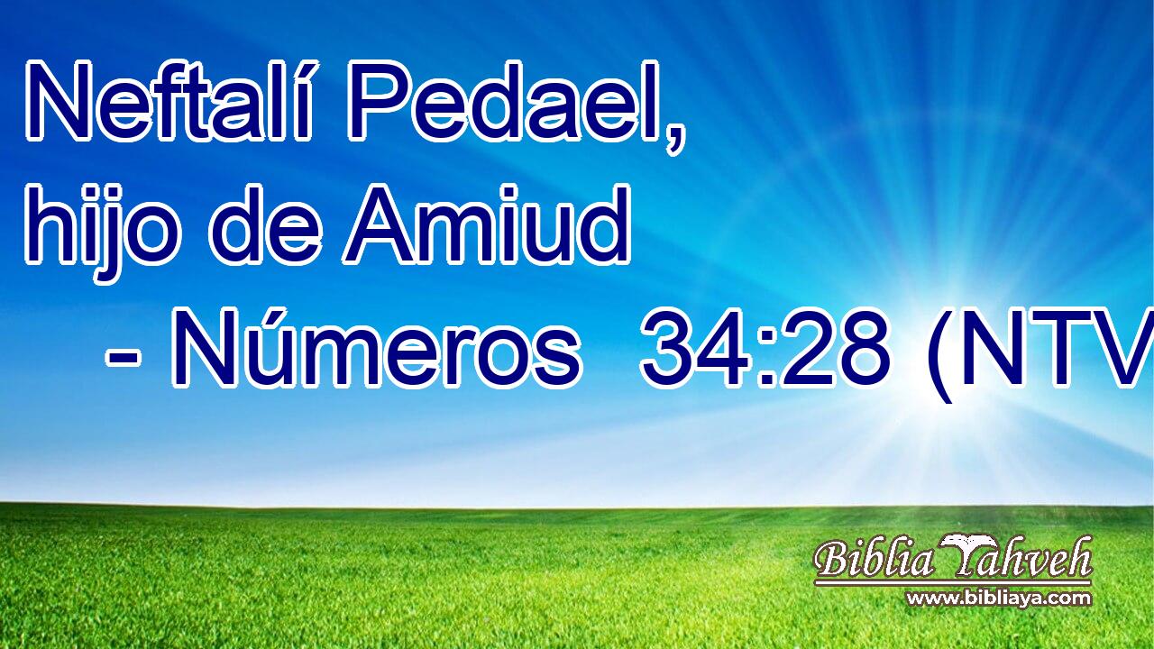 Neftalí Pedael, hijo de Amiud