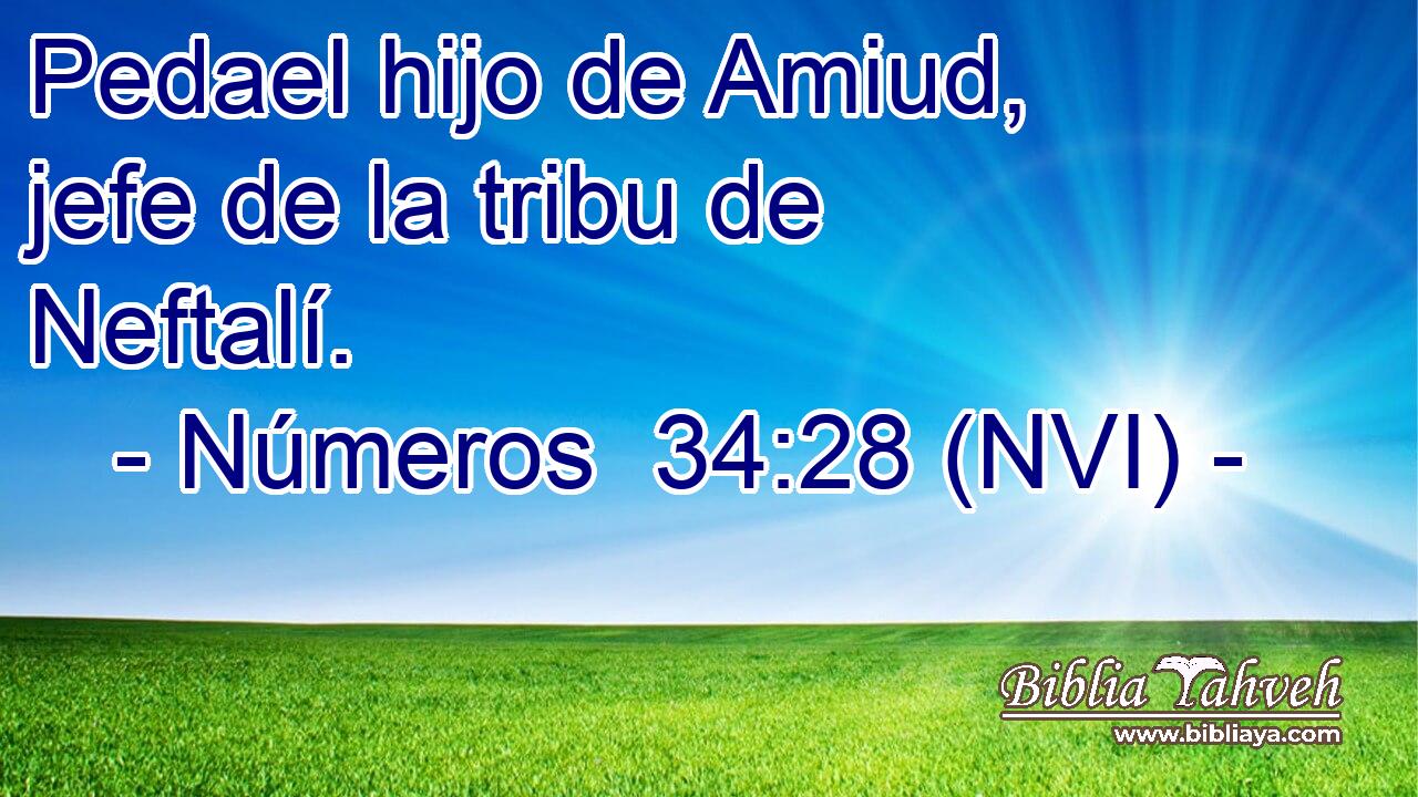  Pedael hijo de Amiud, jefe de la tribu de Neftalí. 