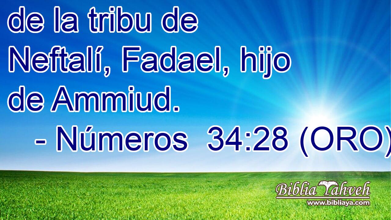  de la tribu de Neftalí, Fadael, hijo de Ammiud. 