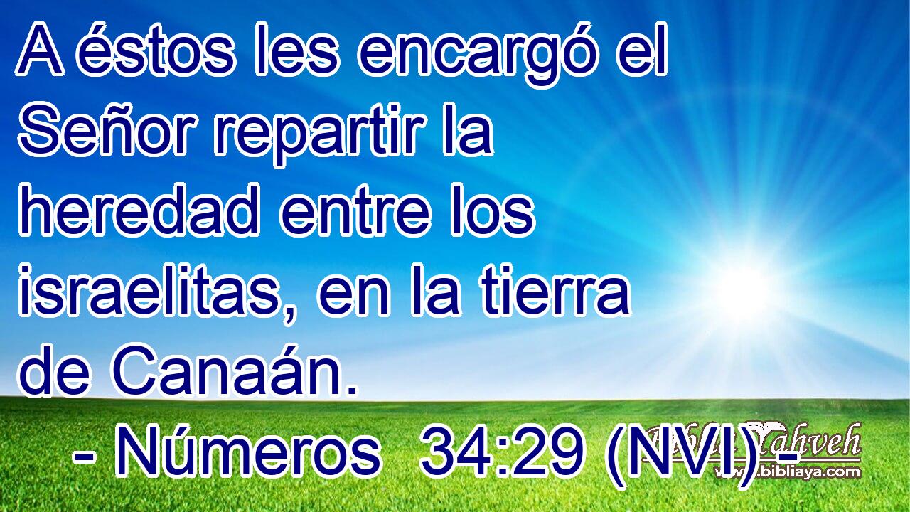  A éstos les encargó el Señor repartir la heredad entre los israelitas, en la tierra de Canaán. 