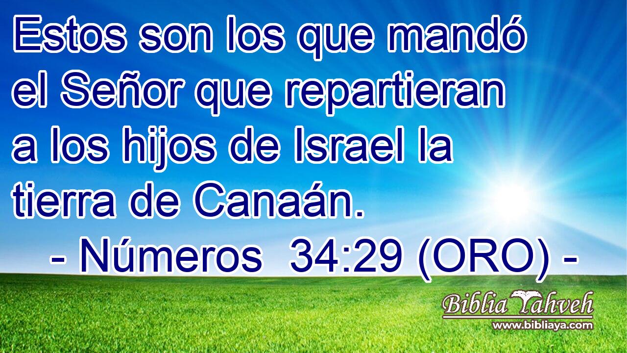  Estos son los que mandó el Señor que repartieran a los hijos de Israel la tierra de Canaán. 