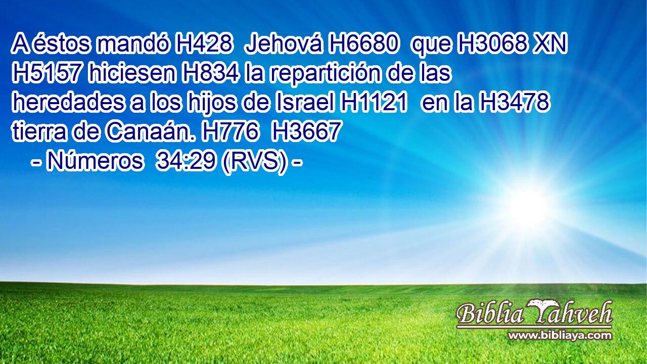 A éstos mandó H428  Jehová H6680  que H3068 XN H5157 hiciesen H834 la repartición de las heredades a los hijos de Israel H1121  en la H3478 tierra de Canaán. H776  H3667 