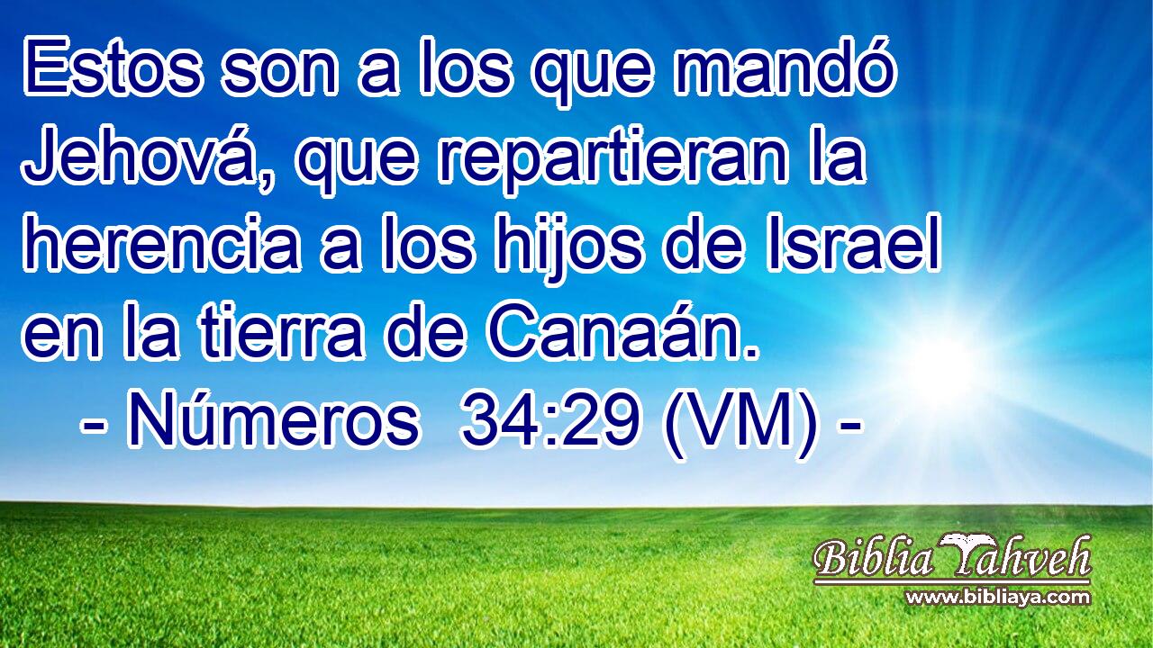  Estos son a los que mandó Jehová, que repartieran la herencia a los hijos de Israel en la tierra de Canaán. 