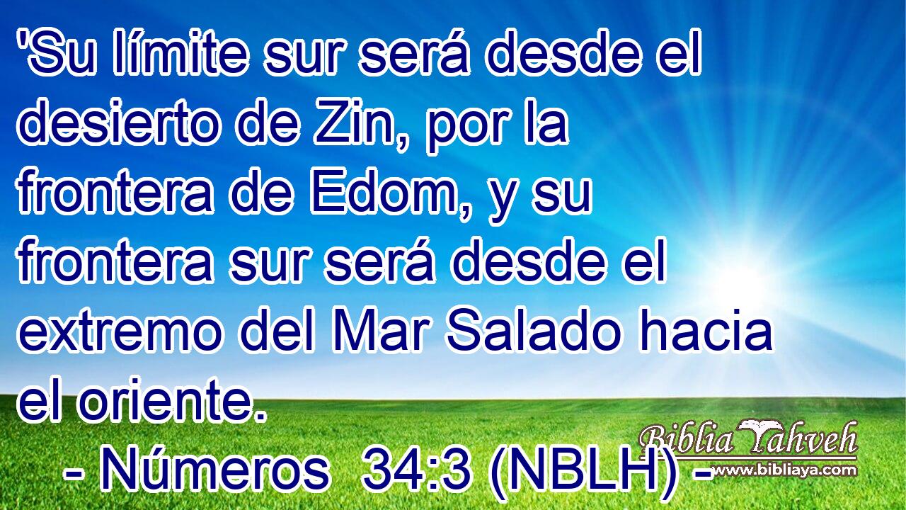  'Su límite sur será desde el desierto de Zin, por la frontera de Edom, y su frontera sur será desde el extremo del Mar Salado hacia el oriente. 