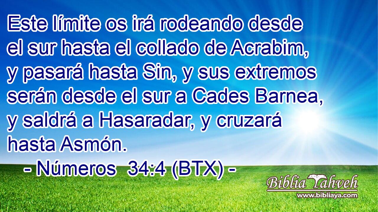 Este límite os irá rodeando desde el sur hasta el collado de Acrabim, y pasará hasta Sin, y sus extremos serán desde el sur a Cades Barnea, y saldrá a Hasaradar, y cruzará hasta Asmón.