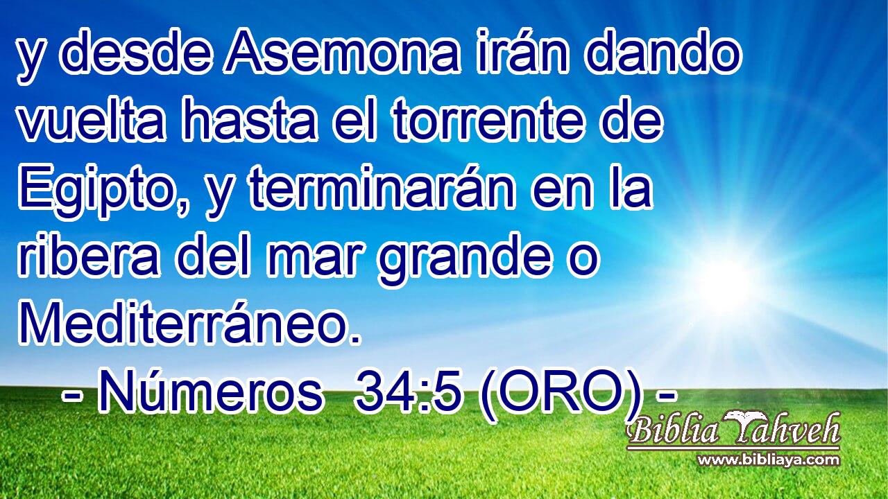  y desde Asemona irán dando vuelta hasta el torrente de Egipto, y terminarán en la ribera del mar grande o Mediterráneo. 