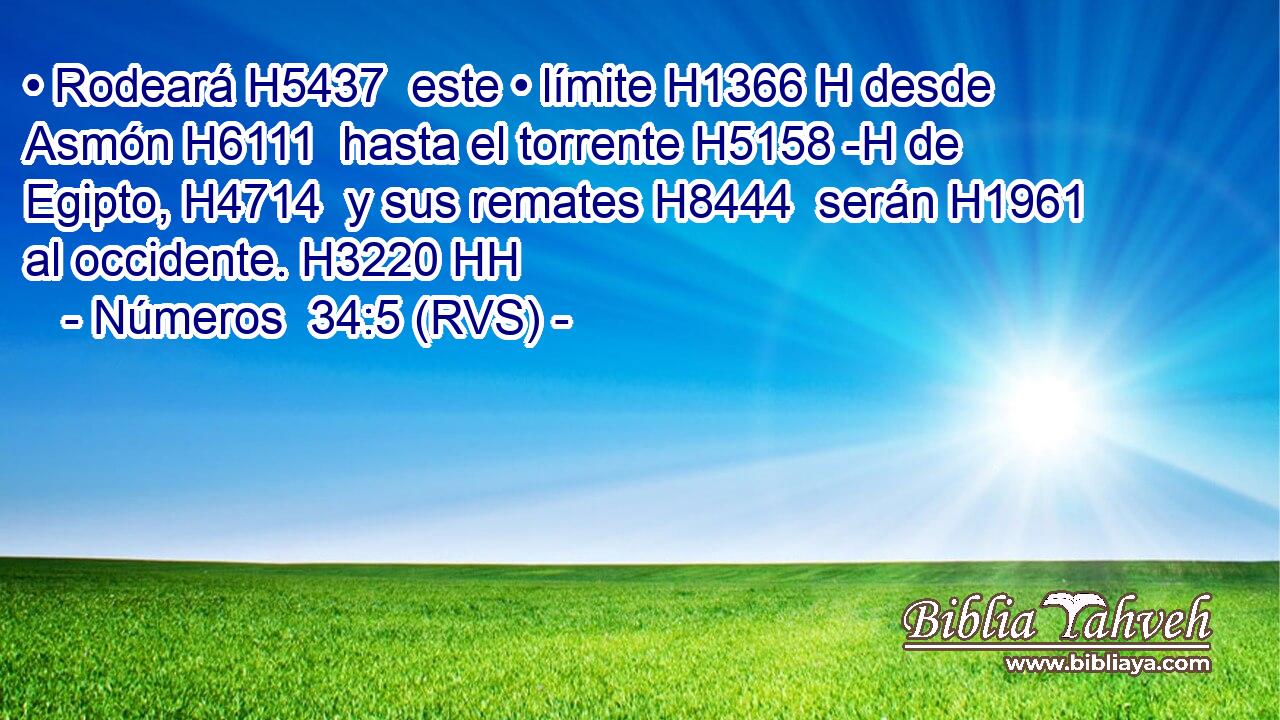• Rodeará H5437  este • límite H1366 H desde Asmón H6111  hasta el torrente H5158 -H de Egipto, H4714  y sus remates H8444  serán H1961  al occidente. H3220 HH 