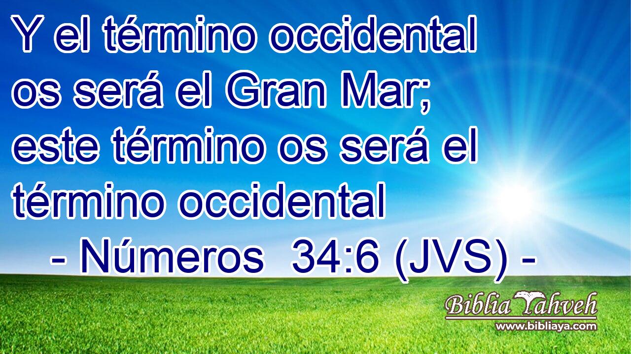 Y el término occidental os será el Gran Mar; este término os será el término occidental