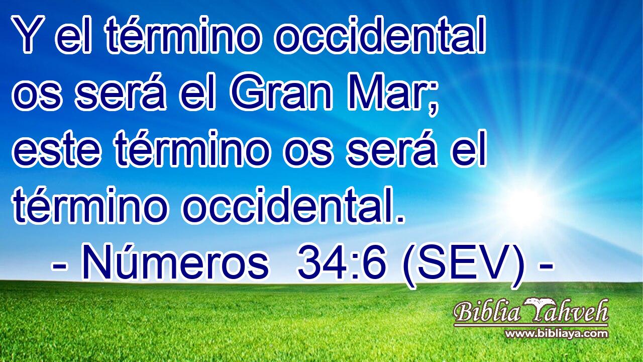 Y el término occidental os será el Gran Mar; este término os será el término occidental.