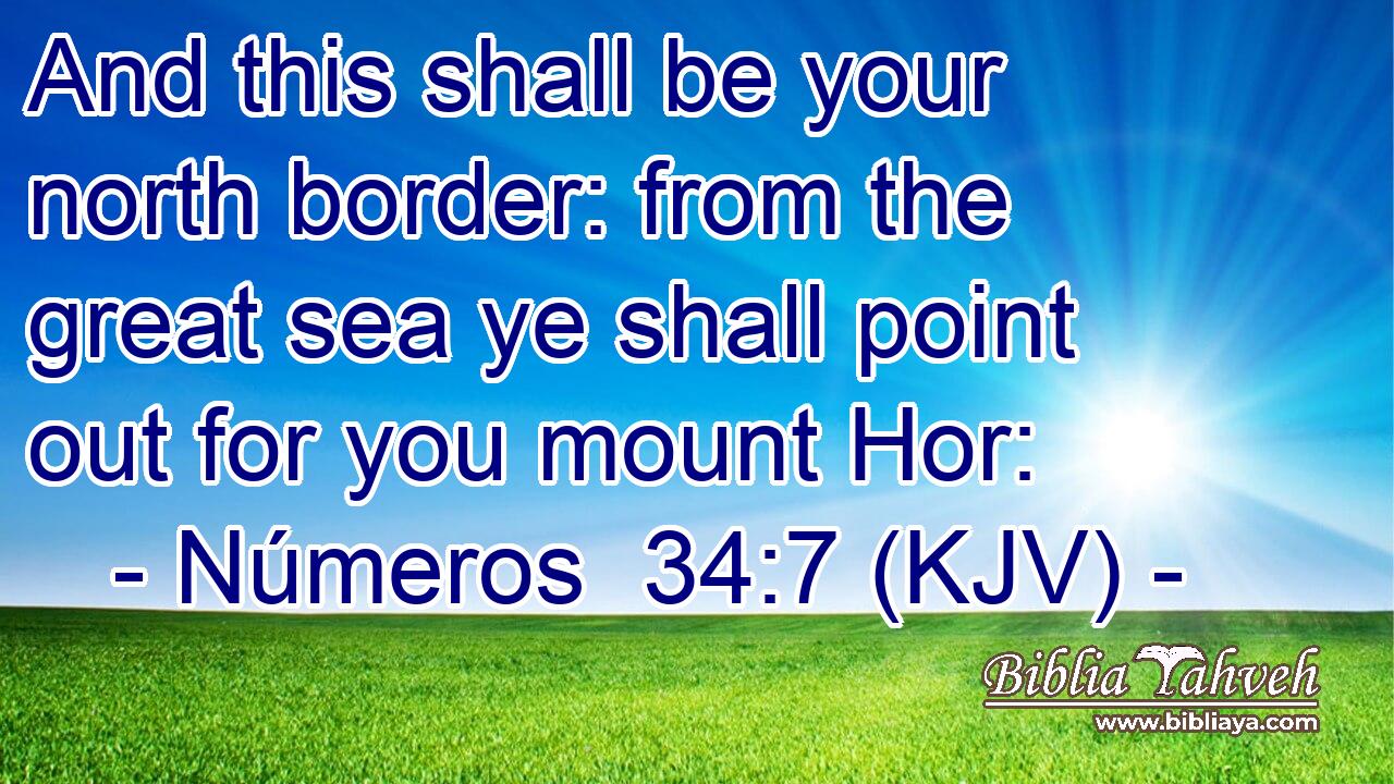 And this shall be your north border: from the great sea ye shall point out for you mount Hor: