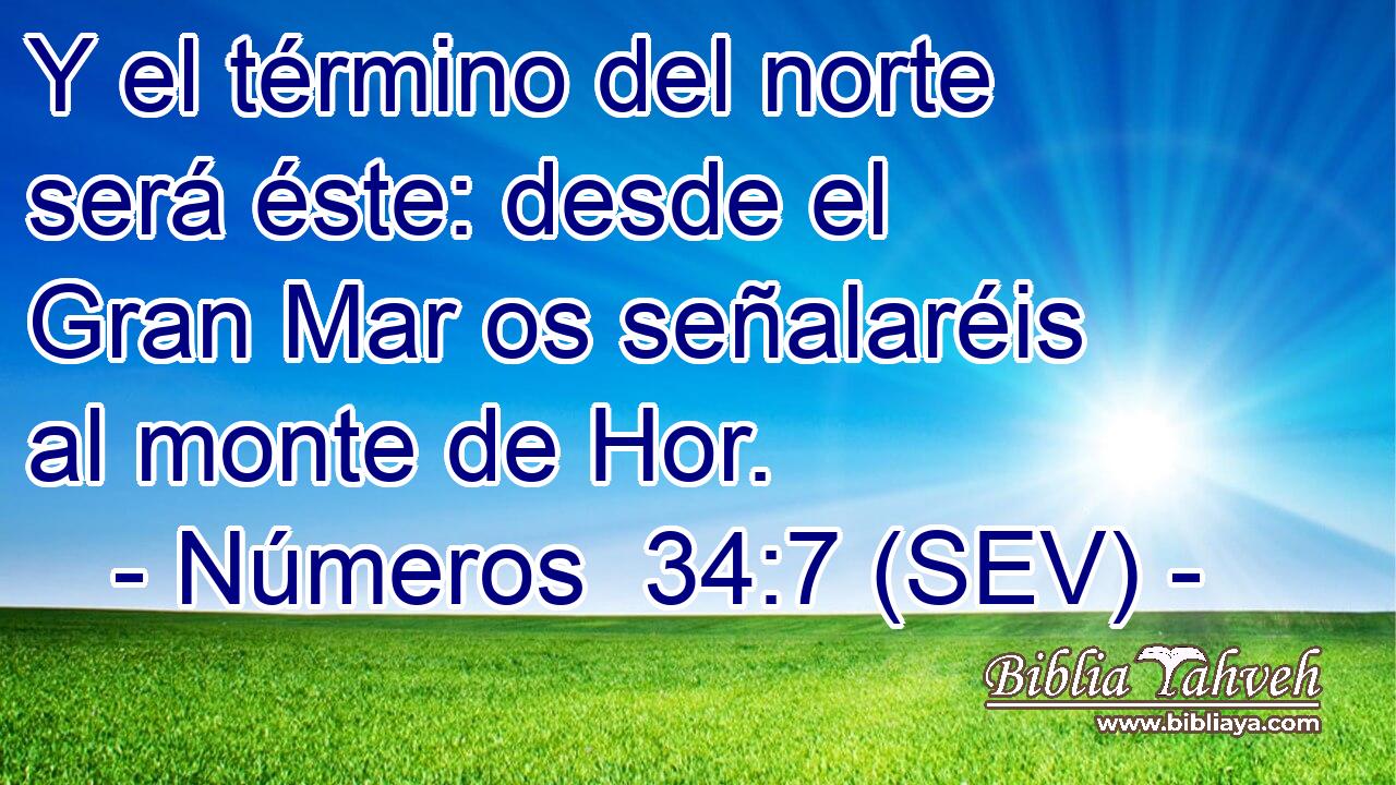 Y el término del norte será éste: desde el Gran Mar os señalaréis al monte de Hor.