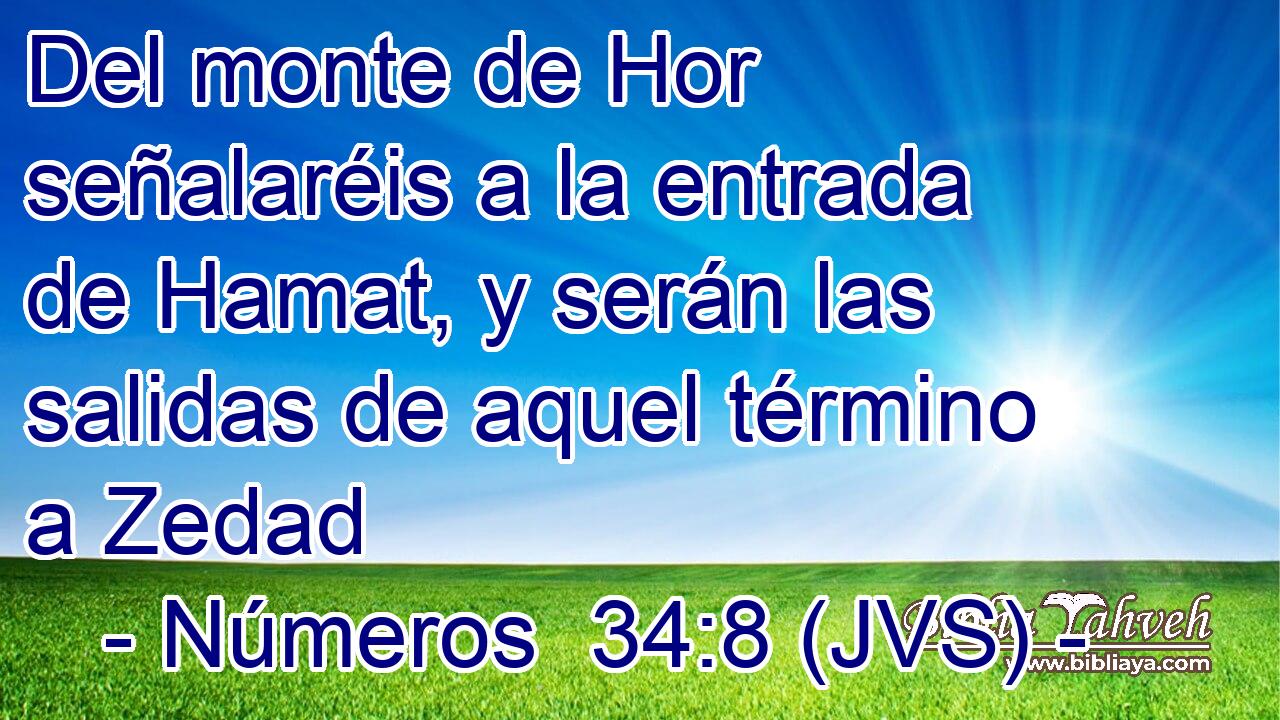 Del monte de Hor señalaréis a la entrada de Hamat, y serán las salidas de aquel término a Zedad