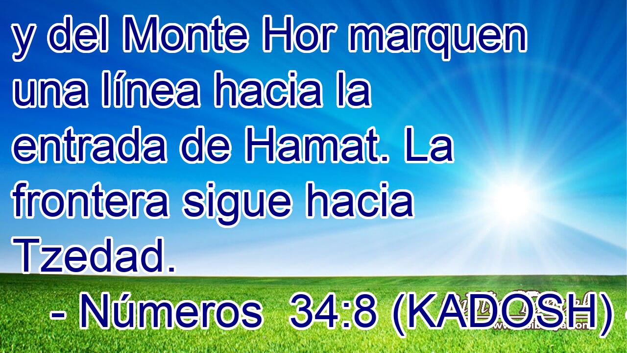  y del Monte Hor marquen una línea hacia la entrada de Hamat. La frontera sigue hacia Tzedad. 