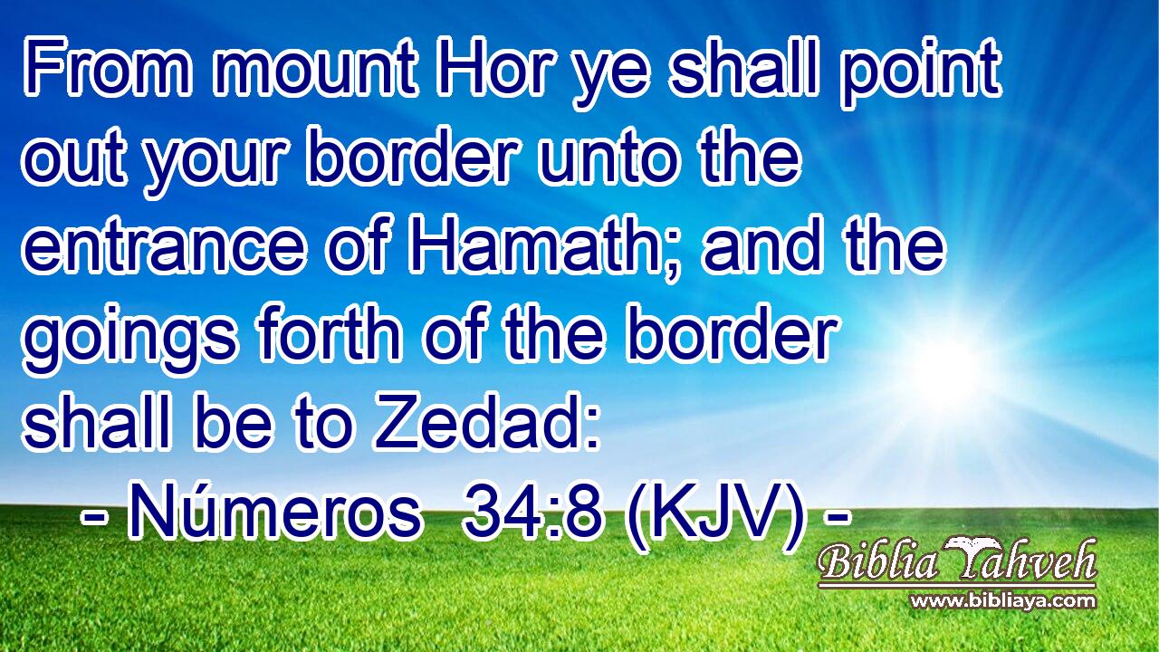 From mount Hor ye shall point out your border unto the entrance of Hamath; and the goings forth of the border shall be to Zedad: