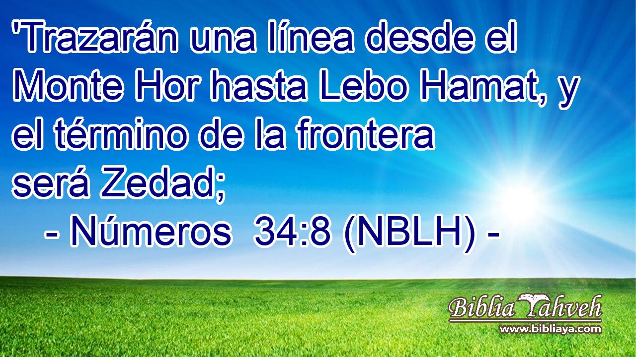  'Trazarán una línea desde el Monte Hor hasta Lebo Hamat, y el término de la frontera será Zedad; 