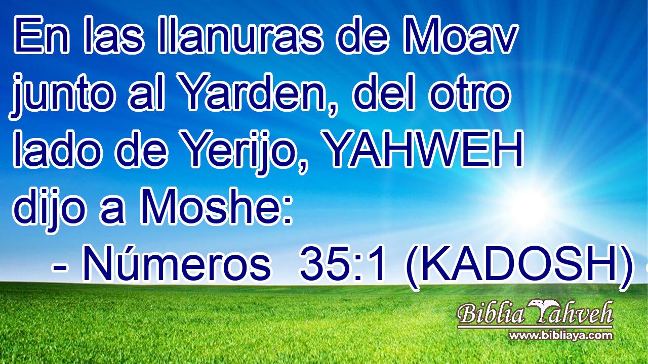  En las llanuras de Moav junto al Yarden, del otro lado de Yerijo, YAHWEH dijo a Moshe: 